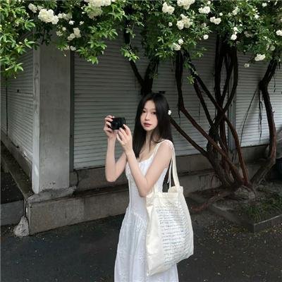 山河披锦绣
